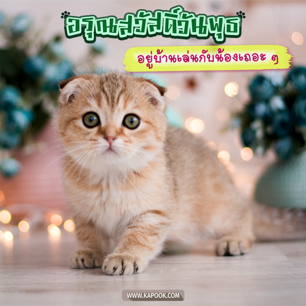 ดูดวงรายวัน ดูดวงรายวัน