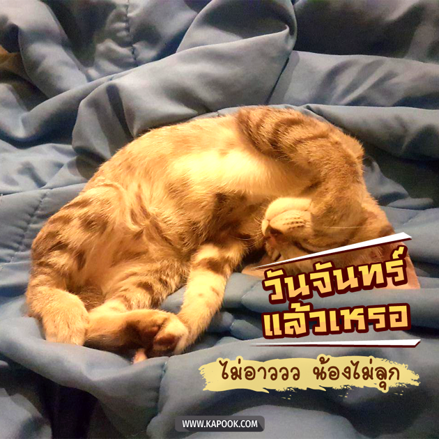 ดูดวงรายวัน ดูดวงรายวัน