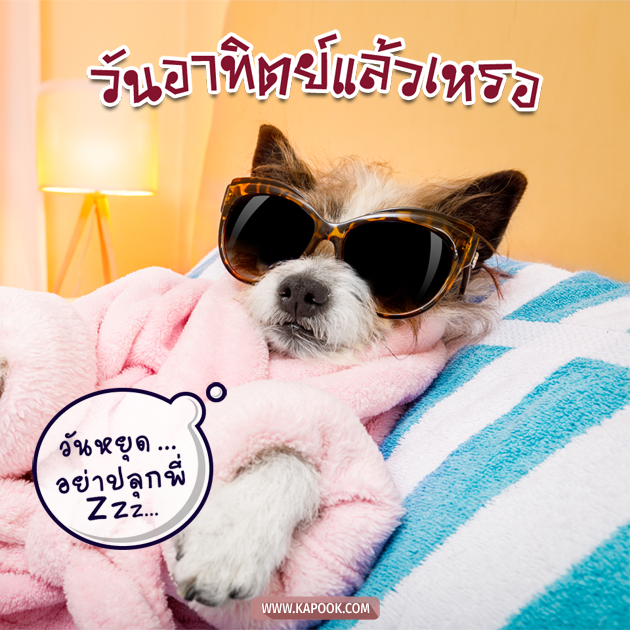 ดูดวงรายวัน ดูดวงรายวัน
