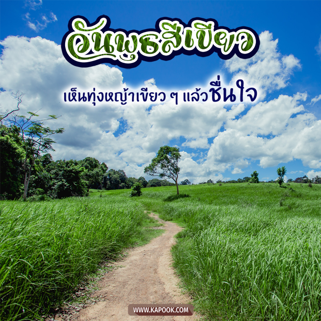 ดูดวงรายวัน ดูดวงรายวัน