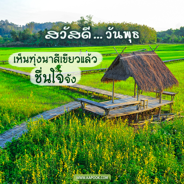 ดูดวงรายวัน ดูดวงรายวัน