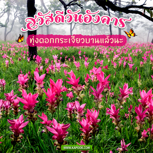 ดูดวงรายวัน ดูดวงรายวัน