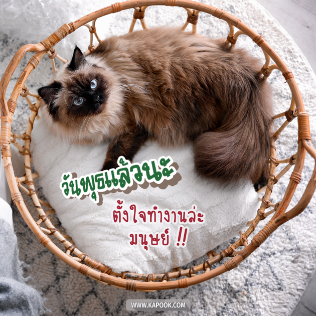 ดูดวงรายวัน ดูดวงรายวัน