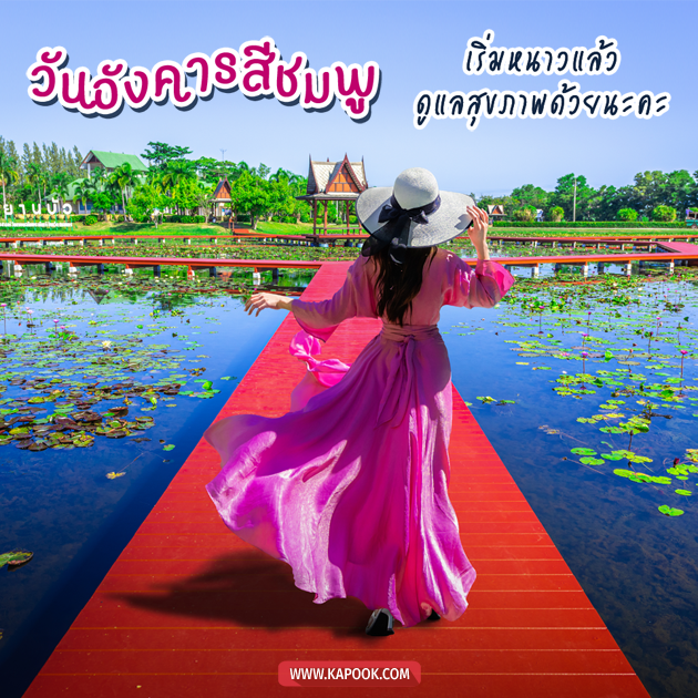 ดูดวงรายวัน ดูดวงรายวัน