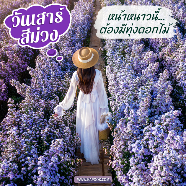 ดูดวงรายวัน ดูดวงรายวัน