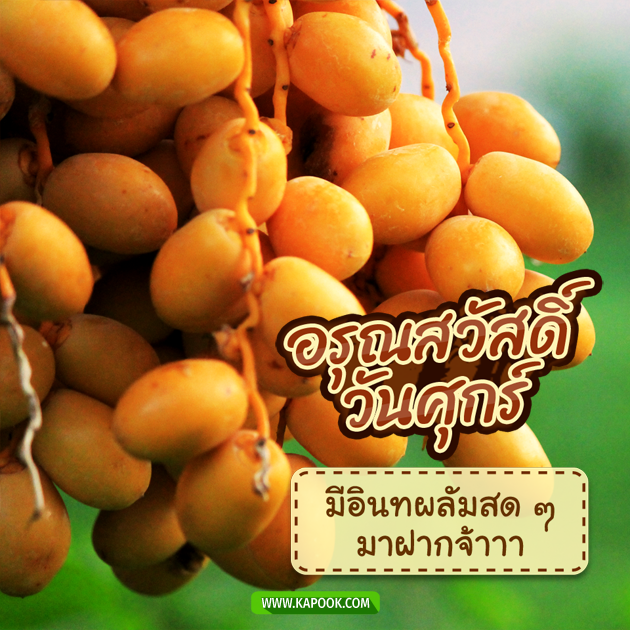 ดูดวงรายวัน ดูดวงรายวัน