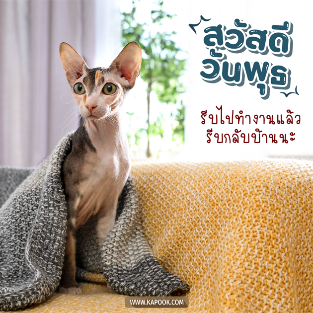 ดูดวงรายวัน ดูดวงรายวัน