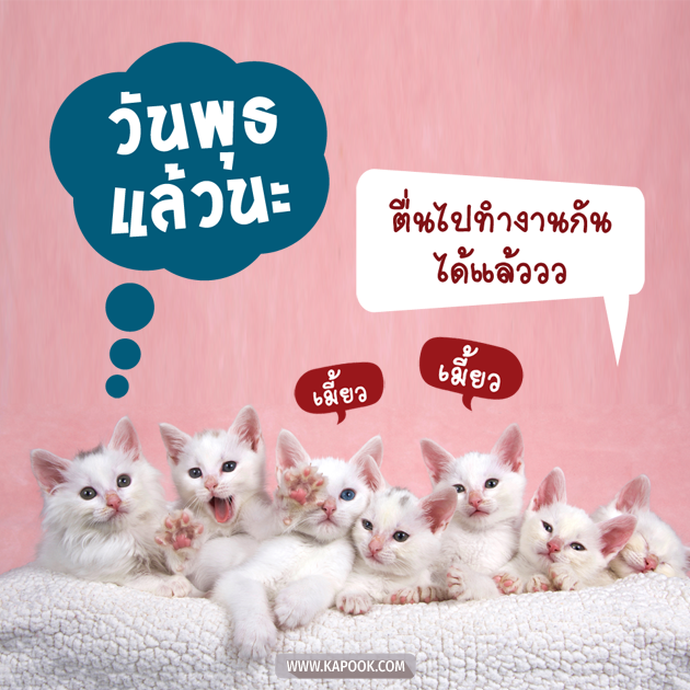 ดูดวงรายวัน ดูดวงรายวัน