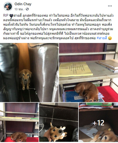 สายสี่ สายสี่