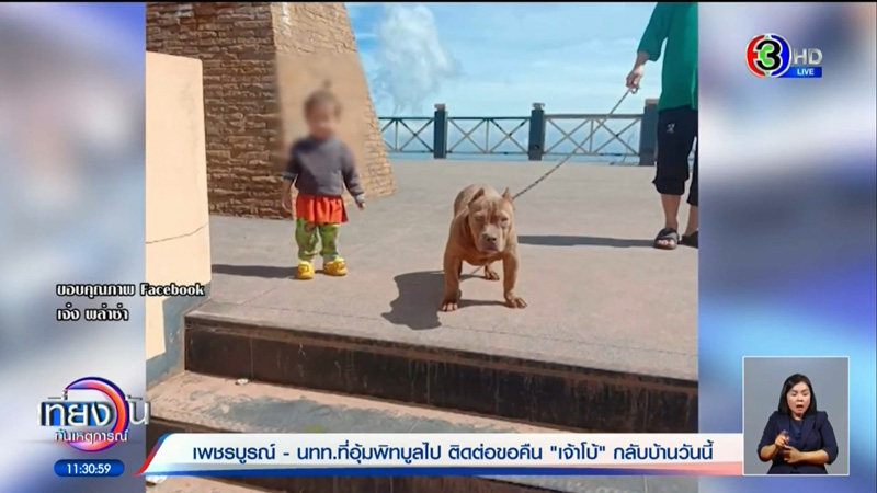 หนุ่มอุ้มหมาภูทับเบิกกลับบ้าน หนุ่มอุ้มหมาภูทับเบิกกลับบ้าน