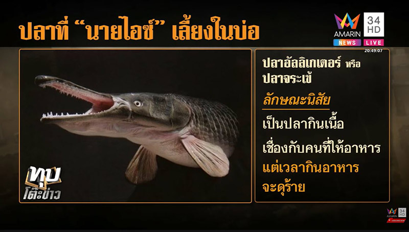 ไอซ์ หีบเหล็ก ไอซ์ หีบเหล็ก