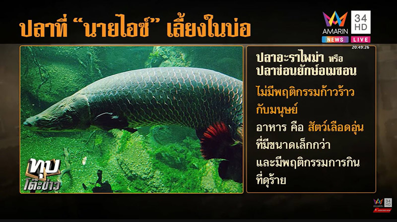 ไอซ์ หีบเหล็ก ไอซ์ หีบเหล็ก