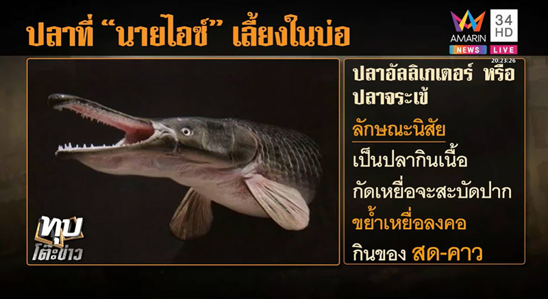 ไอซ์ หีบเหล็ก ไอซ์ หีบเหล็ก