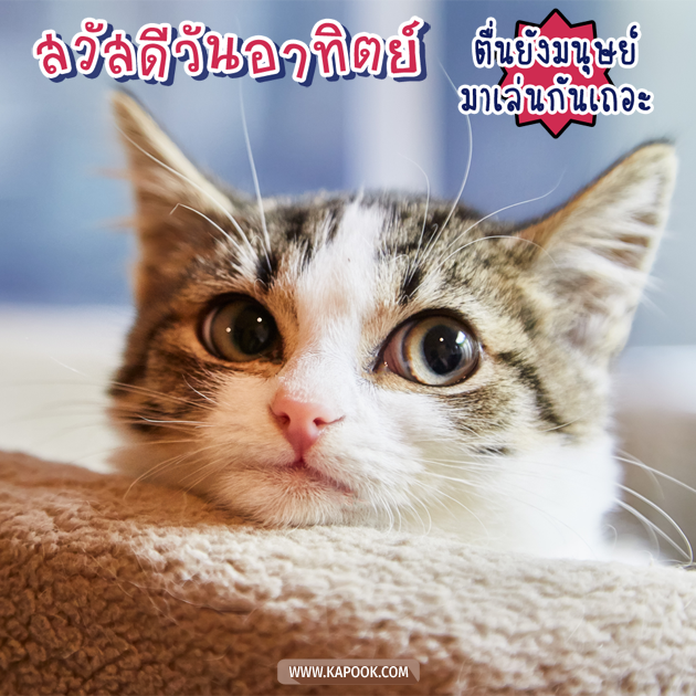 ดวงวันนี้ 6 ธันวาคม 2563 ดวงวันนี้ 6 ธันวาคม 2563