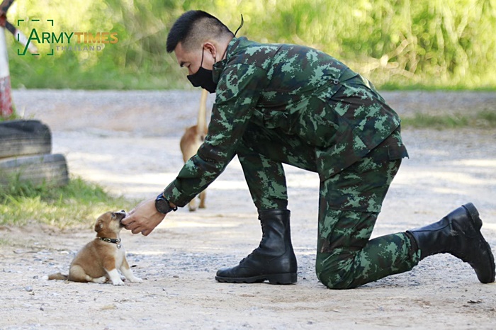 พี่ทหารชายแดนใต้ กับ เจ้าลูกหมาตัวเล็ก พี่ทหารชายแดนใต้ กับ เจ้าลูกหมาตัวเล็ก