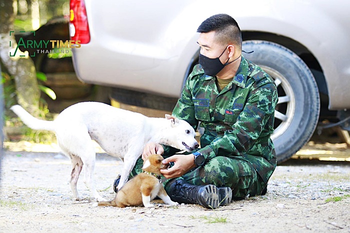 พี่ทหารชายแดนใต้ กับ เจ้าลูกหมาตัวเล็ก พี่ทหารชายแดนใต้ กับ เจ้าลูกหมาตัวเล็ก