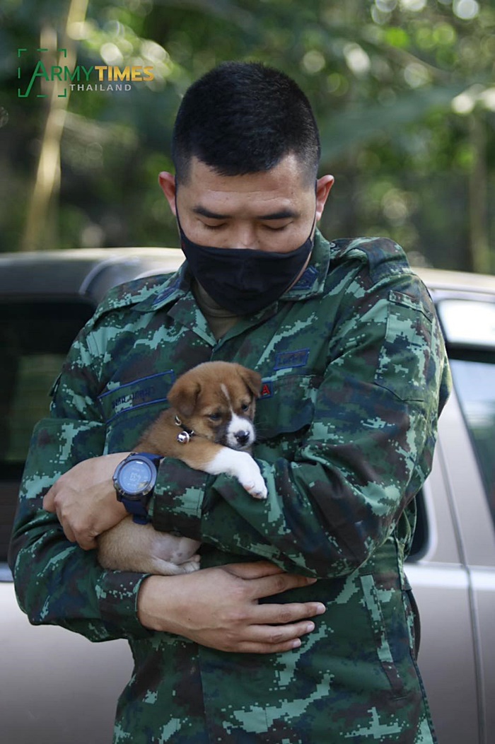 พี่ทหารชายแดนใต้ กับ เจ้าลูกหมาตัวเล็ก พี่ทหารชายแดนใต้ กับ เจ้าลูกหมาตัวเล็ก