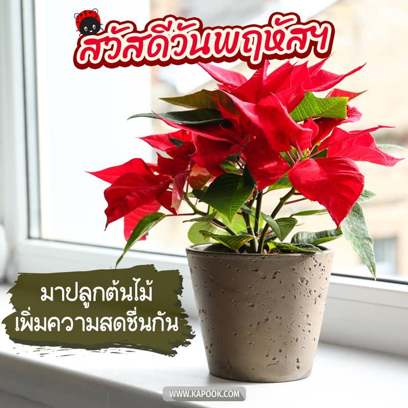 ดูดวงรายวัน วันที่ 13 สิงหาคม 2563 ดูดวงรายวัน วันที่ 13 สิงหาคม 2563