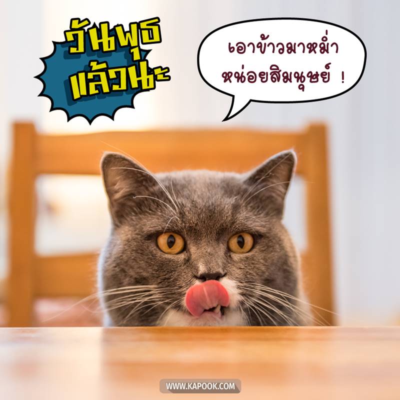 ดูดวงรายวัน วันที่ 16 ธันวาคม 2563 ดูดวงรายวัน วันที่ 16 ธันวาคม 2563