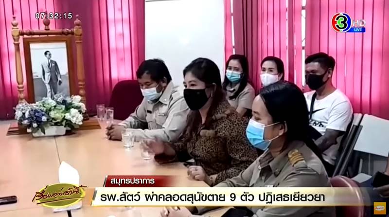 ดราม่าผ่าคลอดหมา ดราม่าผ่าคลอดหมา