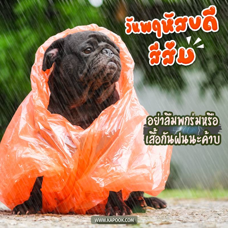 ดูดวงรายวัน วันที่ 9 กรกฎาคม 2563 ดูดวงรายวัน วันที่ 9 กรกฎาคม 2563