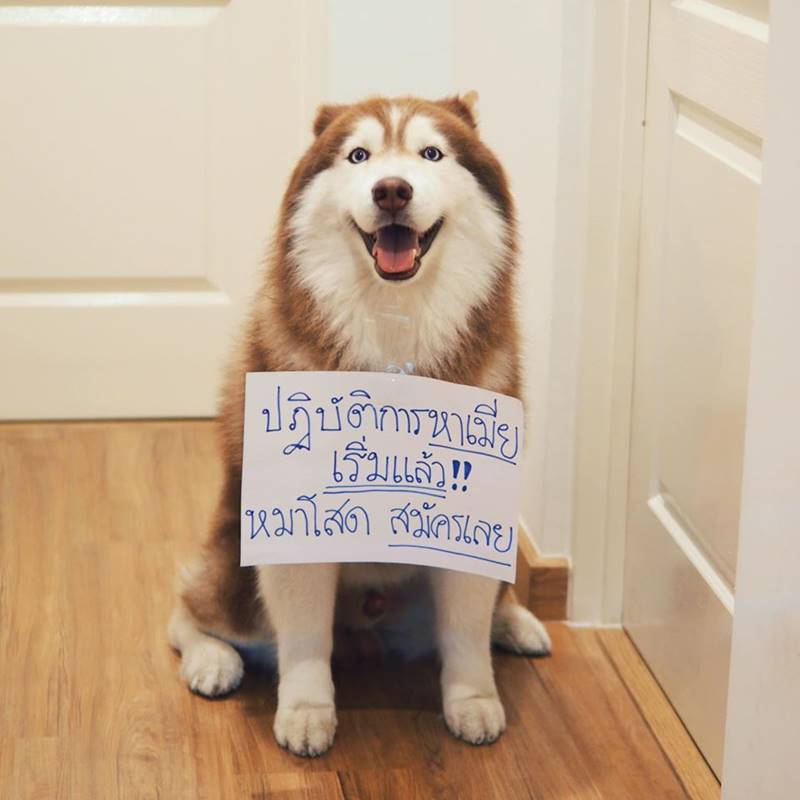กัปตันควิ้นท์ กัปตันควิ้นท์