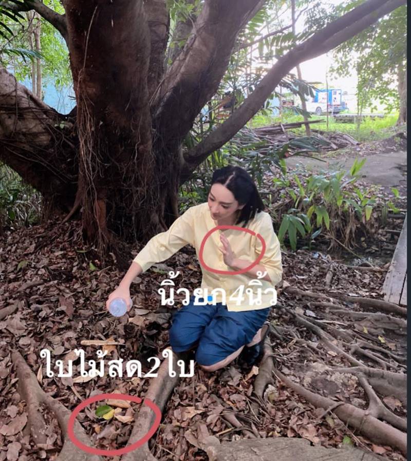 เฟี้ยว์ฟ้าว สุดสวิงริงโก้ เฟี้ยว์ฟ้าว สุดสวิงริงโก้