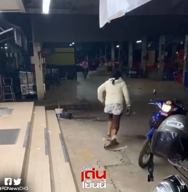 ทารุณกรรมสัตว์ ทารุณกรรมสัตว์