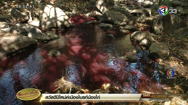 น้ำตกสีแดง หนองบัวลำภู น้ำตกสีแดง หนองบัวลำภู