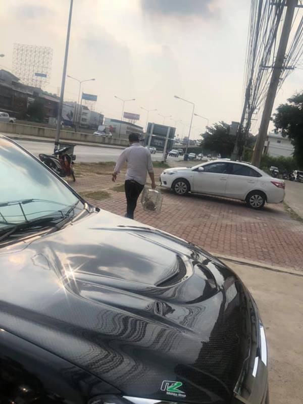 แมวติดท่อ แมวติดท่อ