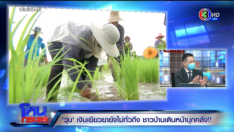 ชาวนา ชาวนา
