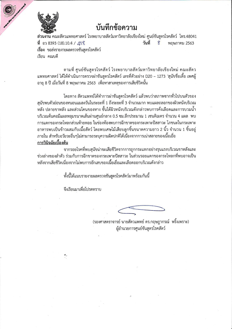 ผลชันสูตร พี่เตี้ย มช. ออกแล้ว ตายเพราะอุบัติเหตุ มีร่องรอยเฉี่ยวชนจากด้านหลัง ผลชันสูตร พี่เตี้ย มช. ออกแล้ว ตายเพราะอุบัติเหตุ มีร่องรอยเฉี่ยวชนจากด้านหลัง