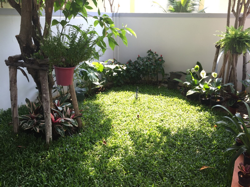 จัดสวนด้วยตัวเอง จัดสวนด้วยตัวเอง