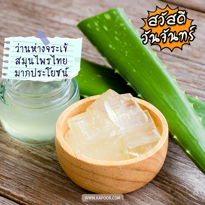 ดูดวงรายวัน วันที่ 20 กันยายน 2564 ดูดวงรายวัน วันที่ 20 กันยายน 2564