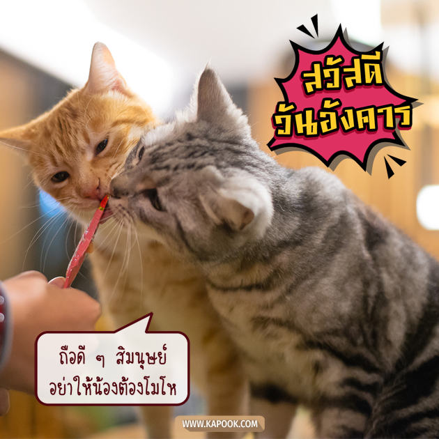 ดูดวงรายวัน ดูดวงรายวัน