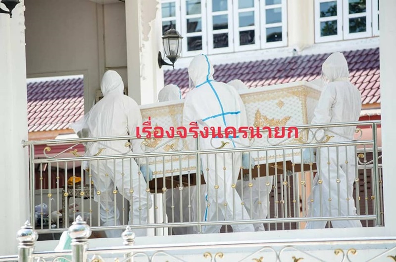 โควิด 19 โควิด 19