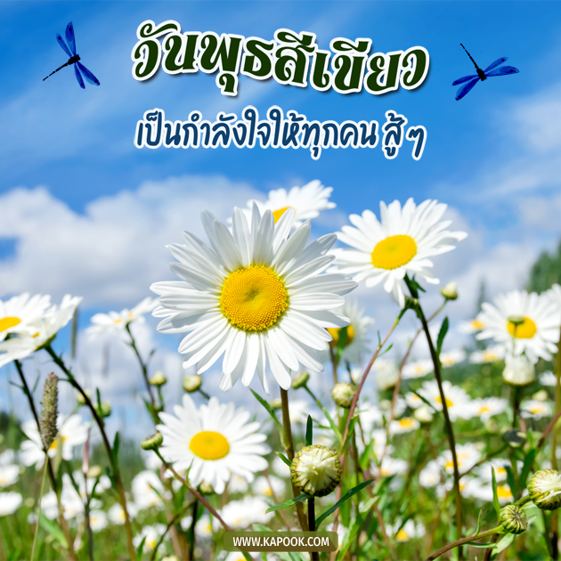 ดูดวงรายวัน ดูดวงรายวัน