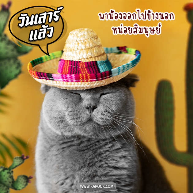 ดูดวงรายวัน ดูดวงรายวัน