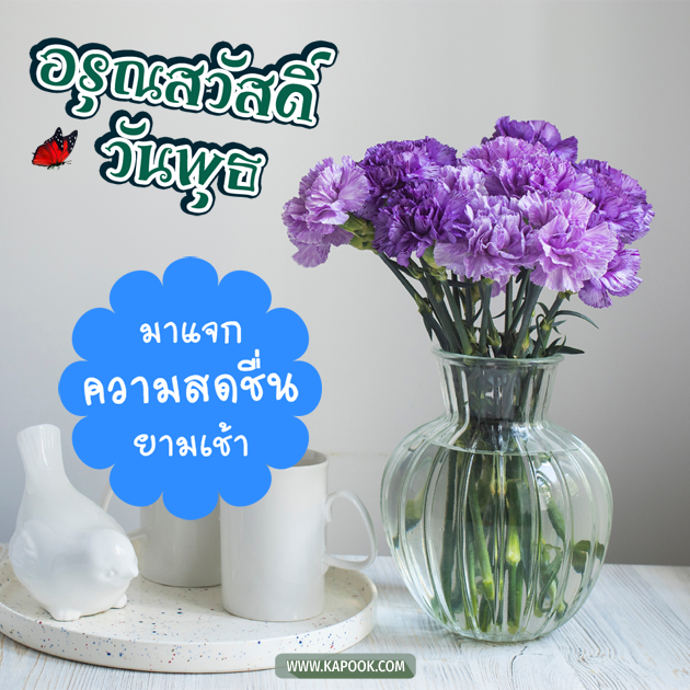 ดูดวงรายวัน ดูดวงรายวัน