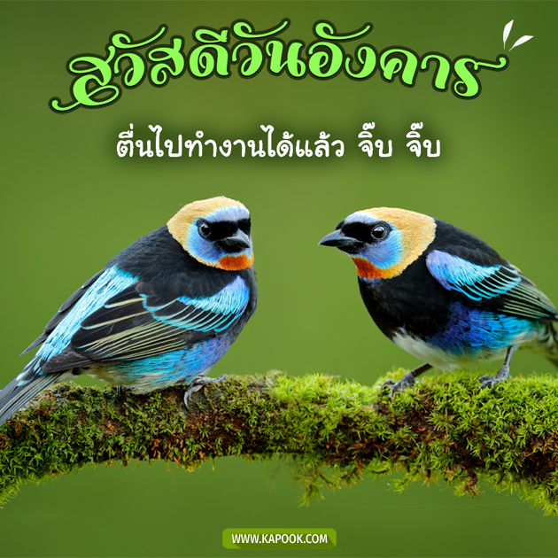 ดูดวงรายวัน ดูดวงรายวัน