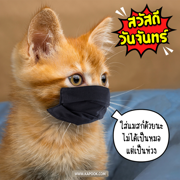 ดูดวงรายวัน ดูดวงรายวัน