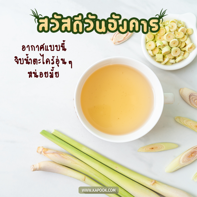 ดูดวงรายวัน ดูดวงรายวัน