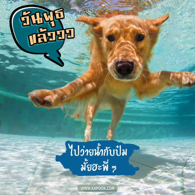 ดูดวงรายวัน ดูดวงรายวัน