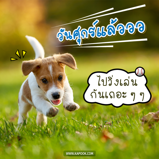 ดูดวงรายวัน ดูดวงรายวัน