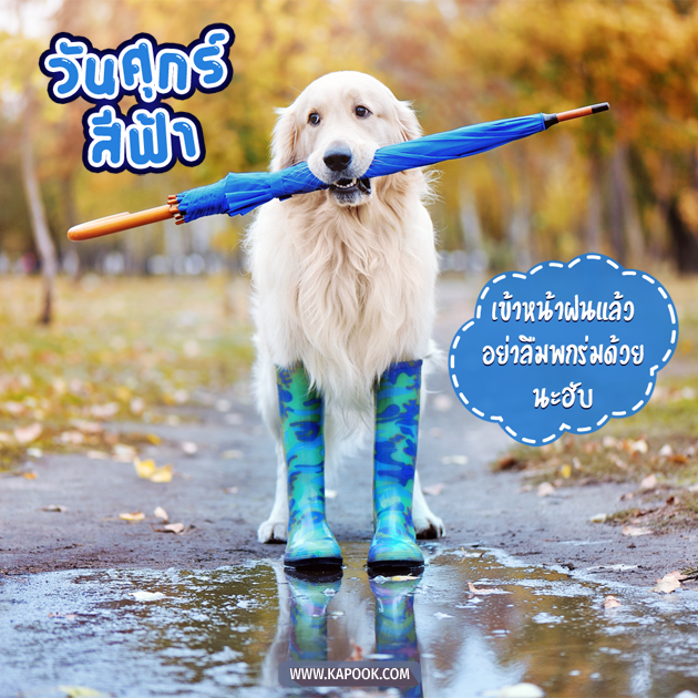 ดูดวงรายวัน ดูดวงรายวัน