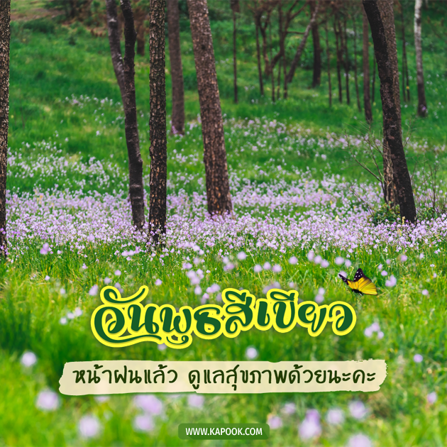 ดูดวงรายวัน ดูดวงรายวัน
