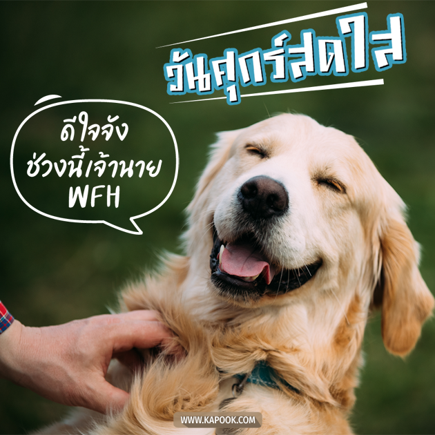 ดูดวงรายวัน ดูดวงรายวัน