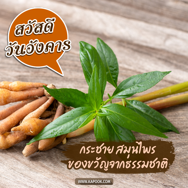 ดูดวงรายวัน ดูดวงรายวัน