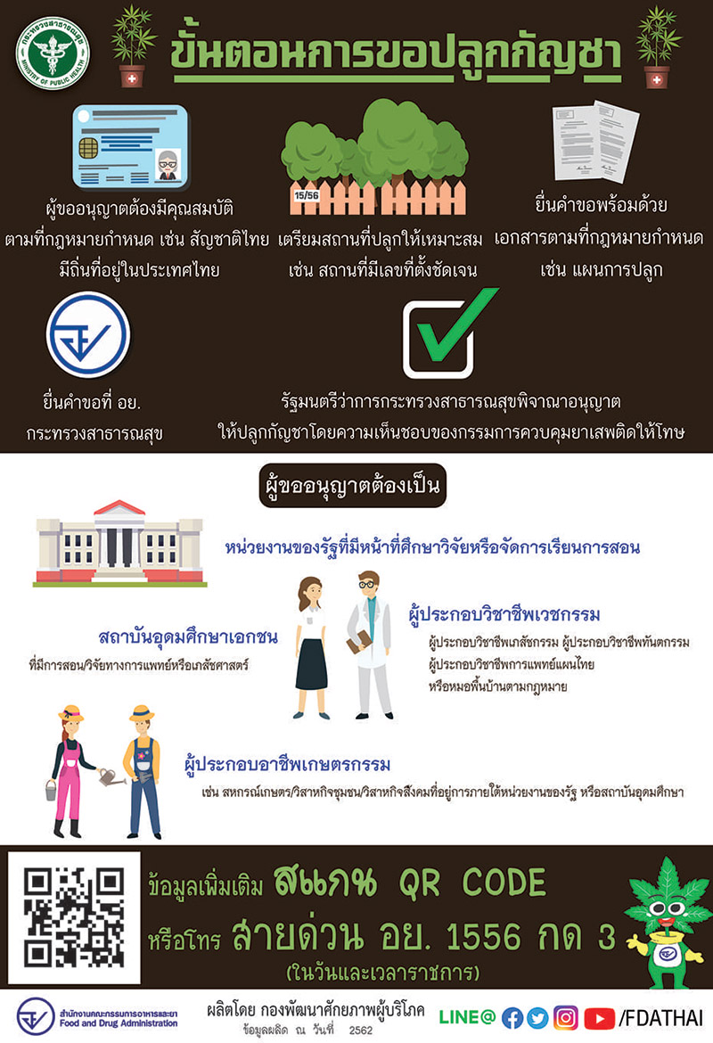 ปลูกกัญชา ปลูกกัญชา