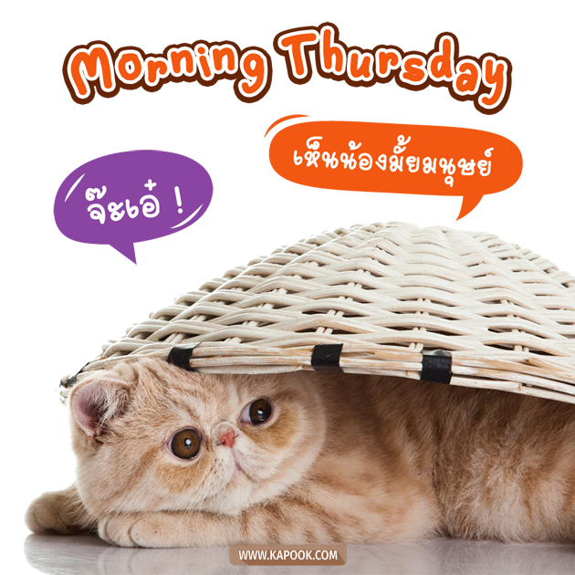 ดวงวันนี้ 18 กุมภาพันธ์ 2564 ดวงวันนี้ 18 กุมภาพันธ์ 2564